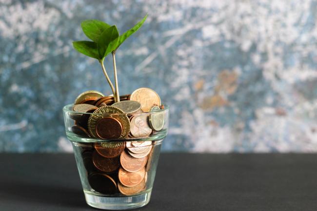 Plant with coins instead of soil